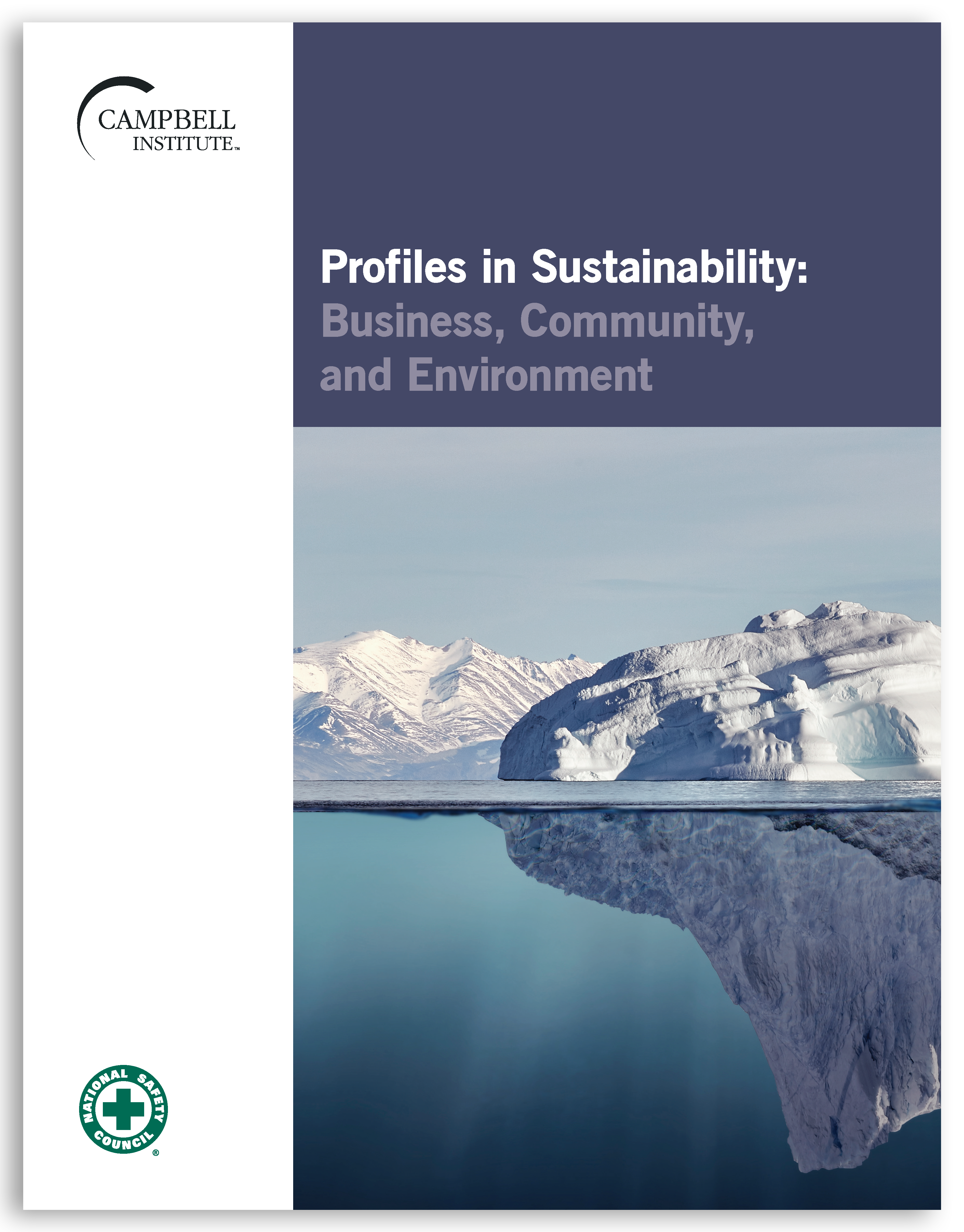 Profiles in Sustainability: Business, Community, and Environment