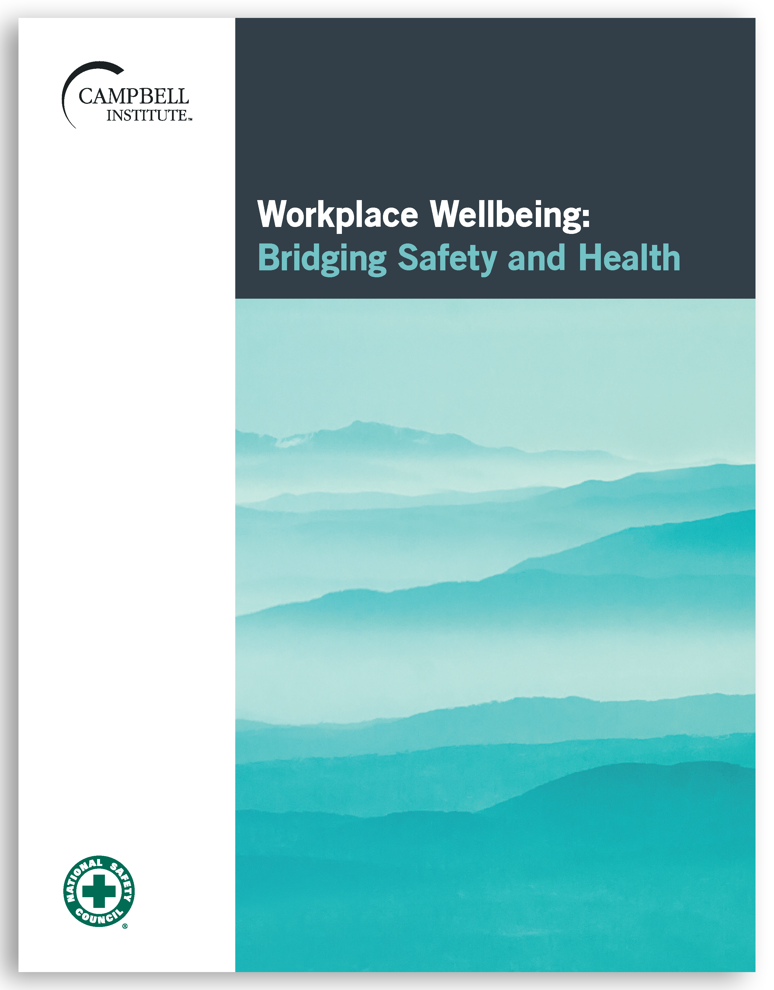 Workplace Wellbeing: Bridging Safety and Health